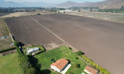 Parcela 35 Há Melipilla Camino Las Flores con Autopista El Sol Riego especial cultivos